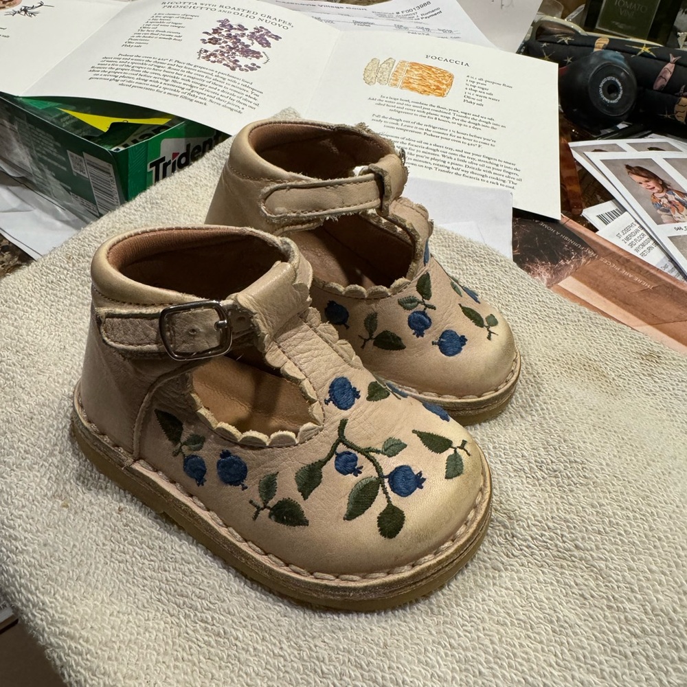 Petit Nord baby shoes w blueberry print. Size is EU 19 which is about US 4 baby